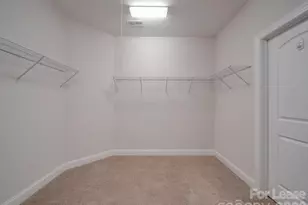 14021 Goldenrod Trace Rd, Charlotte, NC 28278 - Photo 23