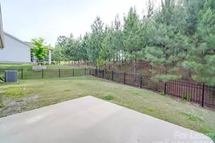 14021 Goldenrod Trace Rd, Charlotte, NC 28278 - Photo 43