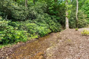 80 Highlander Falls Way, Zirconia, NC 28790 - Photo 29