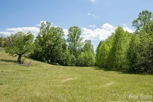 285 Mt Gilead Church Rd, Mills River, NC 28759 - Photo 1