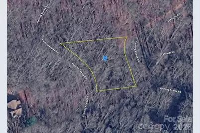 111 Flaming Azalea Road, Franklin, NC 28734 - Photo 1