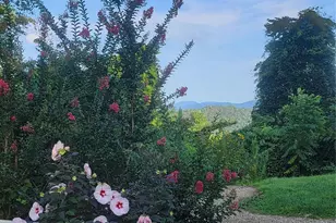 647 Town Mountain Rd, Asheville, NC 28804 - Photo 25
