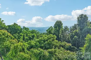 647 Town Mountain Rd, Asheville, NC 28804 - Photo 23