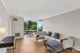 647 Town Mountain Rd, Asheville, NC 28804 - Photo 23