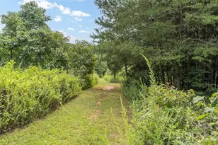 4220 Mt Beulah Rd, Maiden, NC 28650 - Photo 11