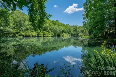 1103 Real Quiet Lane, Waxhaw, NC 28173 - Photo 43