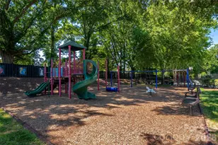 1103 Real Quiet Ln, Waxhaw, NC 28173 - Photo 47