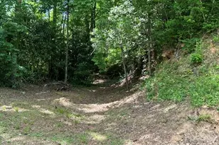 726 Israel Rd, Brevard, NC 28712 - Photo 17