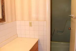 30 Oak Ln, Columbus, NC 28722 - Photo 29