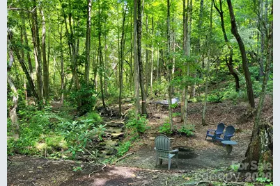 51 Bird Creek Estates Road, Black Mountain, NC 28711 - Photo 21