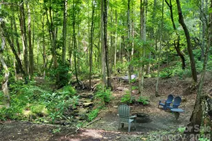 51 Bird Creek Estates Rd, Black Mountain, NC 28711 - Photo 21