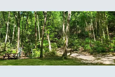 51 Bird Creek Estates Road, Black Mountain, NC 28711 - Photo 23