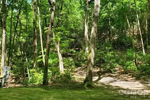 51 Bird Creek Estates Rd, Black Mountain, NC 28711 - Photo 23