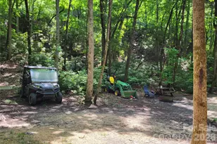 51 Bird Creek Estates Rd, Black Mountain, NC 28711 - Photo 19