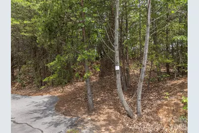 228 Brighton Drive, Bostic, NC 28018 - Photo 3