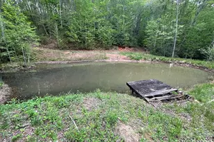 930 Copperhead Cove, Sylva, NC 28779 - Photo 7