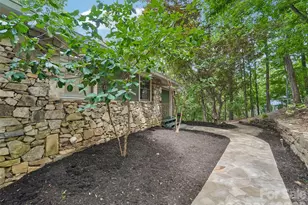10 Chestnut Top Cir, Mills River, NC 28759 - Photo 5