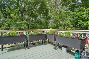 10 Chestnut Top Cir, Mills River, NC 28759 - Photo 43