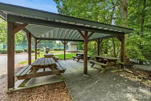 10 Chestnut Top Cir, Mills River, NC 28759 - Photo 43