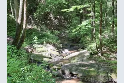 630 Shumont Road, Black Mountain, NC 28711 - Photo 7