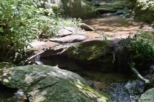 630 Shumont Rd, Black Mountain, NC 28711 - Photo 11