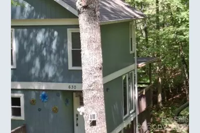 630 Shumont Road, Black Mountain, NC 28711 - Photo 13