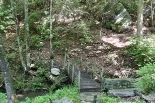 630 Shumont Rd, Black Mountain, NC 28711 - Photo 5