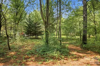 650 Daves Road, York, SC 29745 - Photo 43