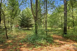 650 Daves Rd, York, SC 29745 - Photo 43