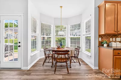 10109 Halkirk Manor Lane, Charlotte, NC 28278 - Photo 5