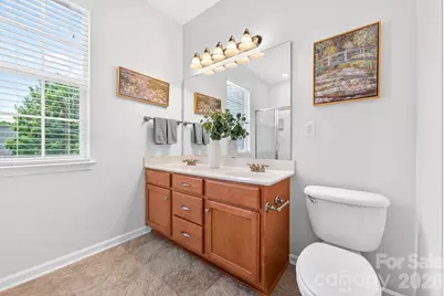 10109 Halkirk Manor Lane, Charlotte, NC 28278 - Photo 19