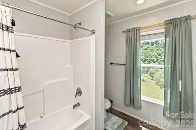27 Spuds Lane, Weaverville, NC 28787 - Photo 33