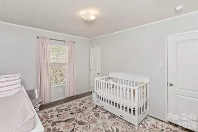 27 Spuds Lane, Weaverville, NC 28787 - Photo 29