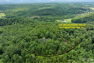 295 Wilderness Ridge, Rutherfordton, NC 28139 - Photo 47