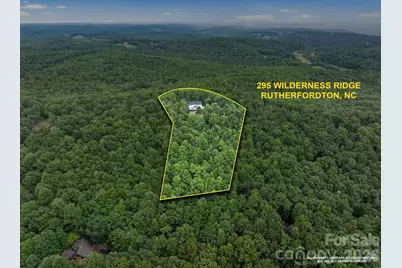 295 Wilderness Ridge, Rutherfordton, NC 28139 - Photo 43