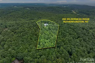 295 Wilderness Ridge, Rutherfordton, NC 28139 - Photo 43
