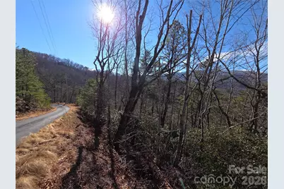 81 Lucerne Drive, Canton, NC 28716 - Photo 11