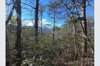 81 Lucerne Drive, Canton, NC 28716 - Photo 13