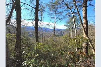 81 Lucerne Drive, Canton, NC 28716 - Photo 1
