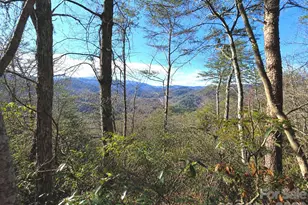 81 Lucerne Dr, Canton, NC 28716 - Photo 1