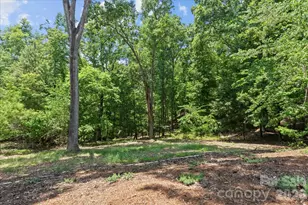 172 Lawson's Lookout None, Denton, NC 27239 - Photo 43