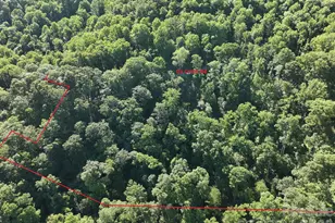 Tbd Ox Creek Rd, Weaverville, NC 28787 - Photo 1