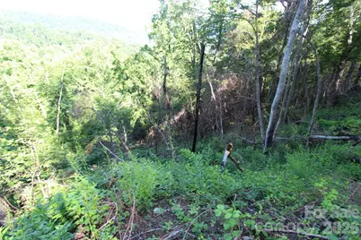 Tbd Ox Creek Road, Weaverville, NC 28787 - Photo 13