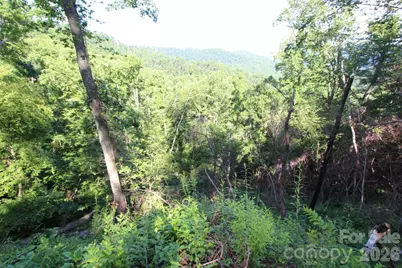 Tbd Ox Creek Road, Weaverville, NC 28787 - Photo 15