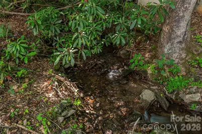 484 Twinbrook Lane, Maggie Valley, NC 28751 - Photo 25