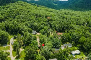 14 Border St, Black Mountain, NC 28711 - Photo 39