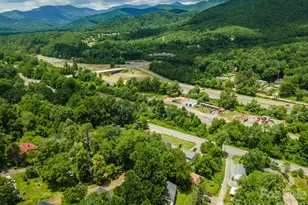 14 Border St, Black Mountain, NC 28711 - Photo 45
