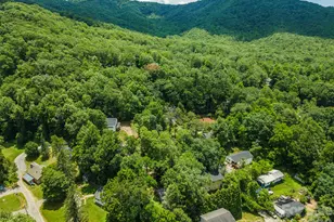 14 Border St, Black Mountain, NC 28711 - Photo 41