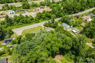 14 Border St, Black Mountain, NC 28711 - Photo 47