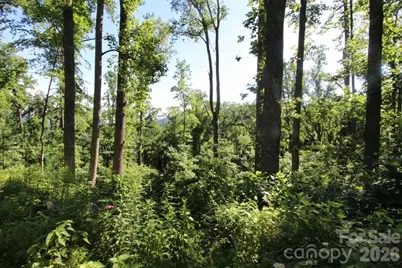 00 Ox Creek Crest Lane, Weaverville, NC 28787 - Photo 23